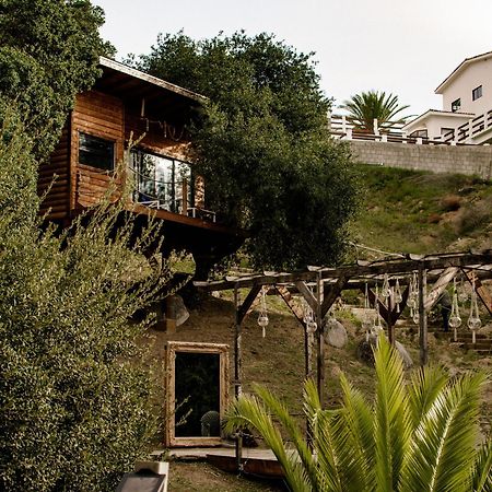 Boskenvid Hotel Boutique, Skypool Valle de Guadalupe Ngoại thất bức ảnh
