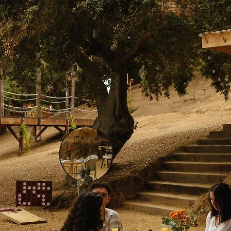 Boskenvid Hotel Boutique, Skypool Valle de Guadalupe Ngoại thất bức ảnh