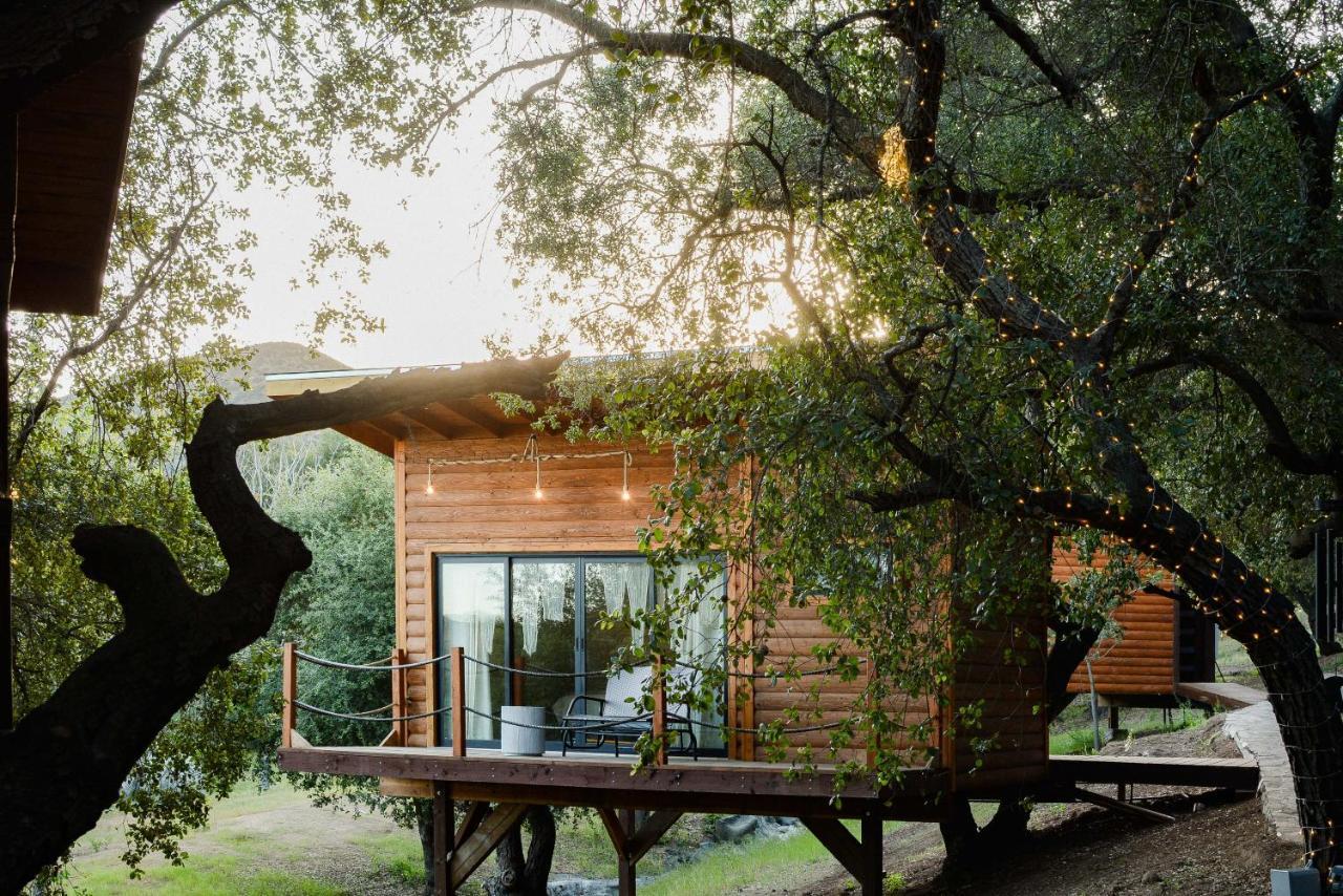Boskenvid Hotel Boutique, Skypool Valle de Guadalupe Ngoại thất bức ảnh