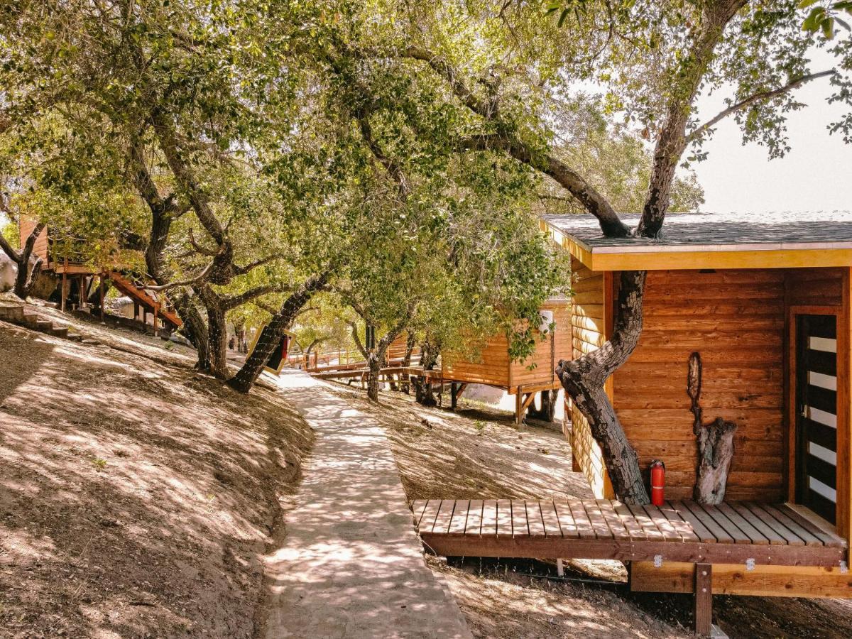Boskenvid Hotel Boutique, Skypool Valle de Guadalupe Ngoại thất bức ảnh