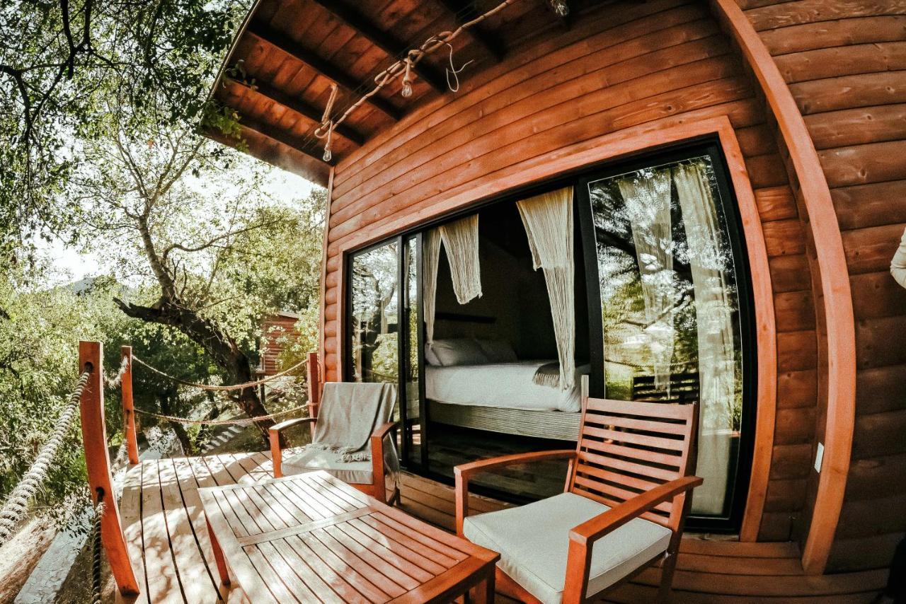 Boskenvid Hotel Boutique, Skypool Valle de Guadalupe Ngoại thất bức ảnh