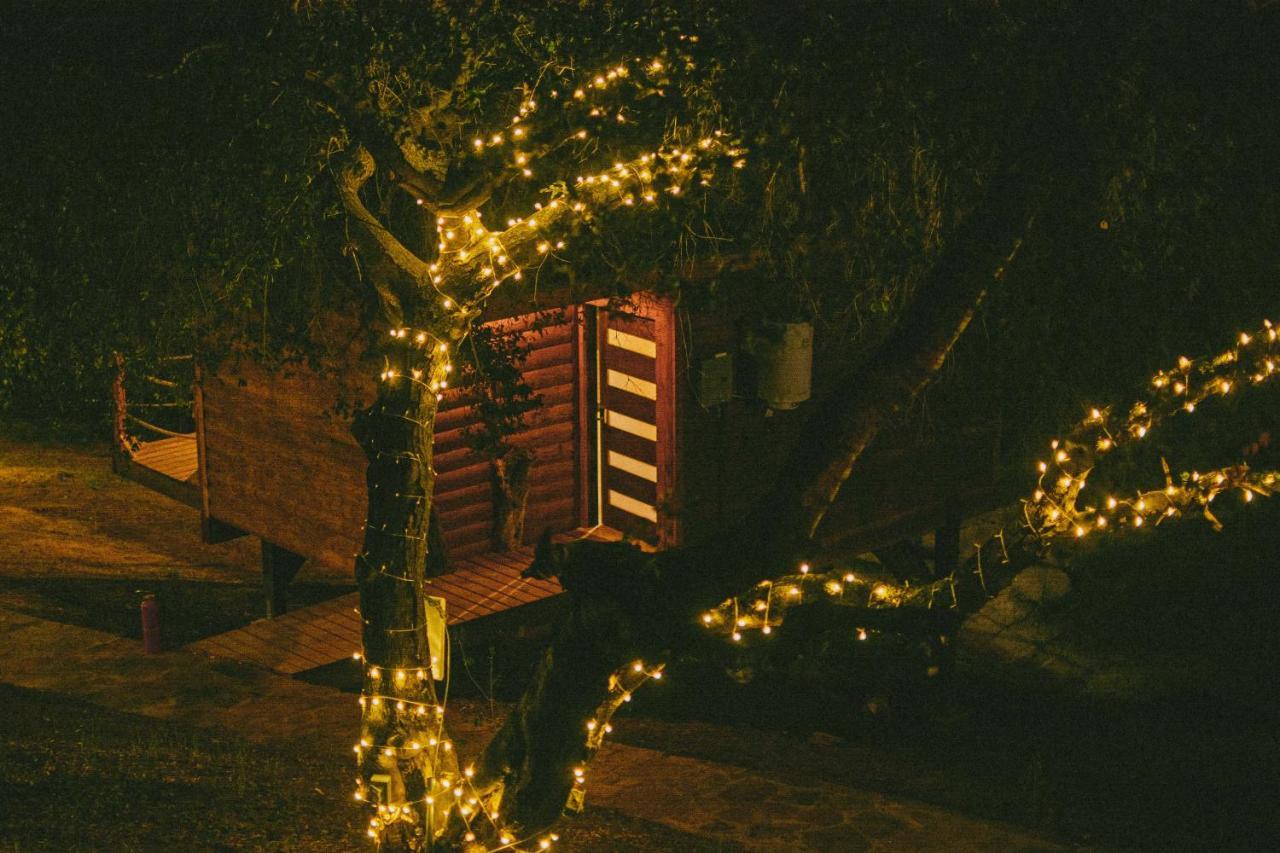 Boskenvid Hotel Boutique, Skypool Valle de Guadalupe Ngoại thất bức ảnh