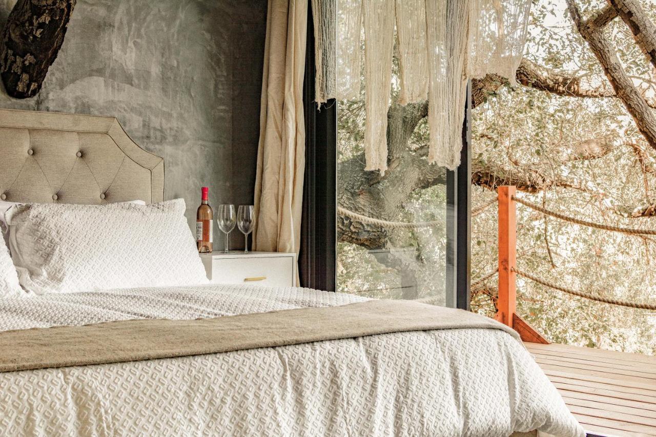 Boskenvid Hotel Boutique, Skypool Valle de Guadalupe Ngoại thất bức ảnh