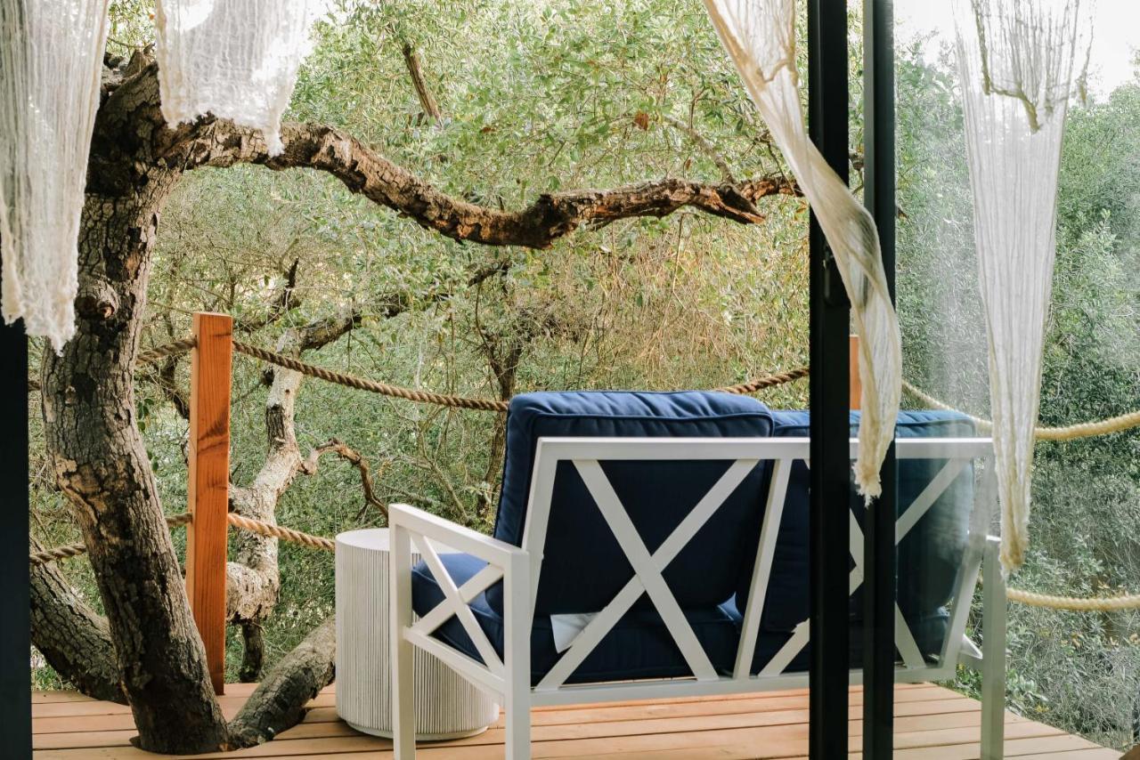 Boskenvid Hotel Boutique, Skypool Valle de Guadalupe Ngoại thất bức ảnh