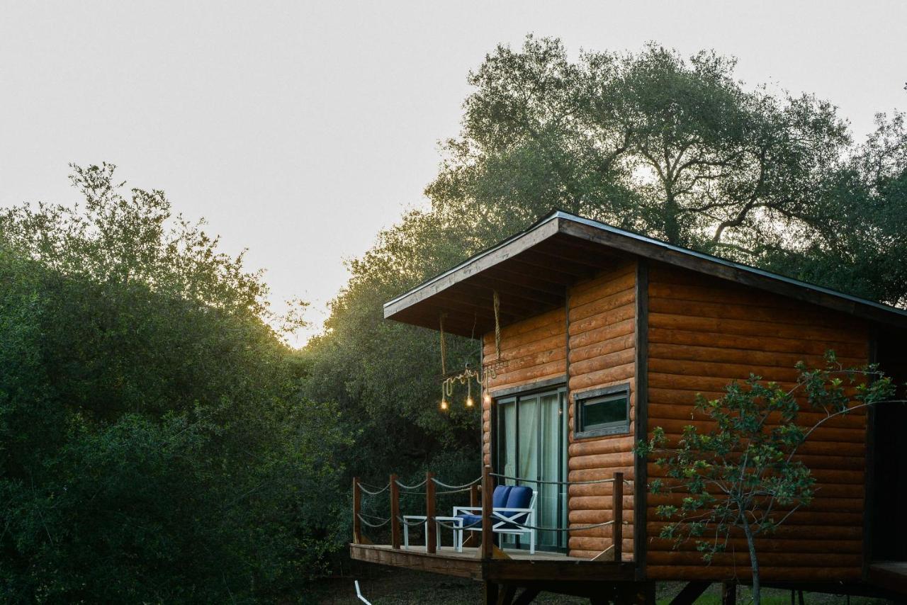 Boskenvid Hotel Boutique, Skypool Valle de Guadalupe Ngoại thất bức ảnh