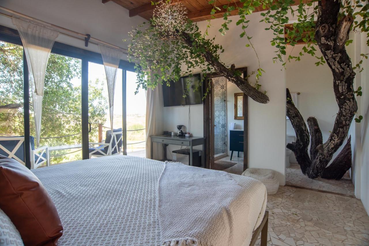 Boskenvid Hotel Boutique, Skypool Valle de Guadalupe Ngoại thất bức ảnh