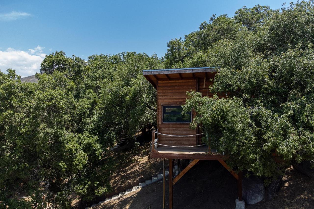 Boskenvid Hotel Boutique, Skypool Valle de Guadalupe Ngoại thất bức ảnh