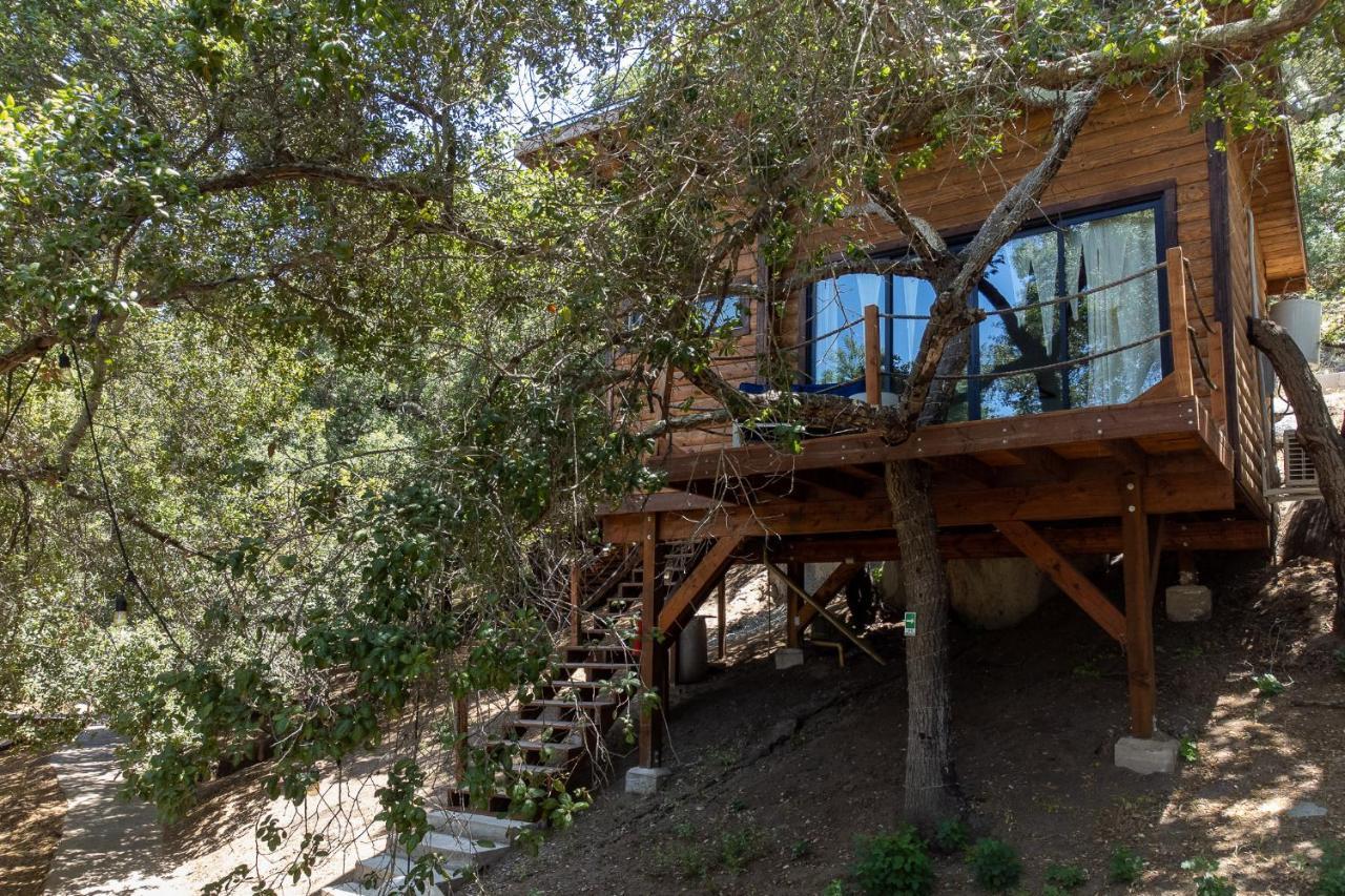 Boskenvid Hotel Boutique, Skypool Valle de Guadalupe Ngoại thất bức ảnh