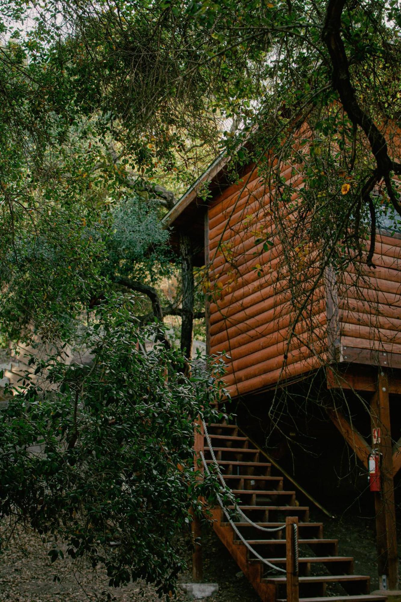 Boskenvid Hotel Boutique, Skypool Valle de Guadalupe Ngoại thất bức ảnh