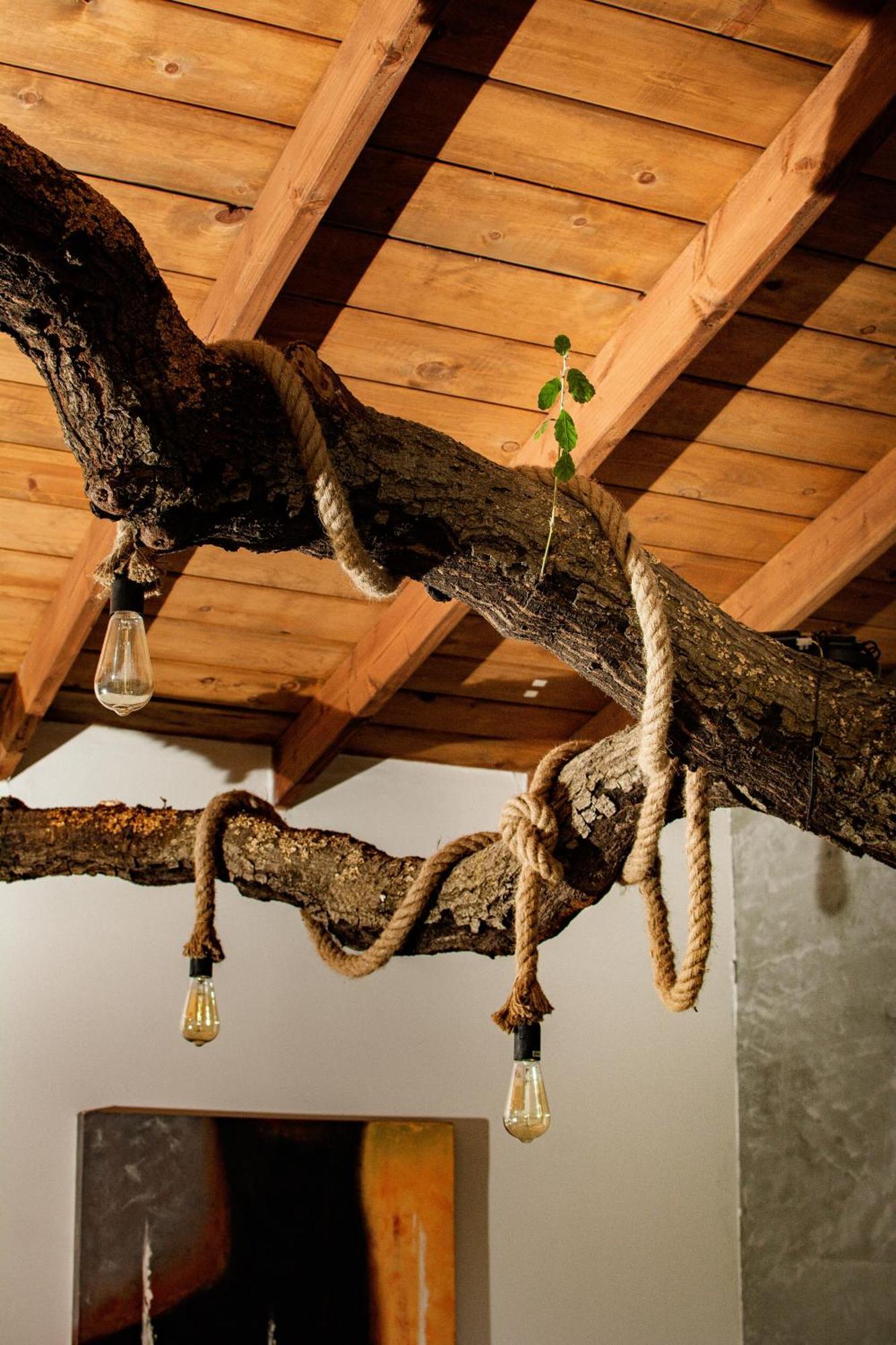 Boskenvid Hotel Boutique, Skypool Valle de Guadalupe Ngoại thất bức ảnh