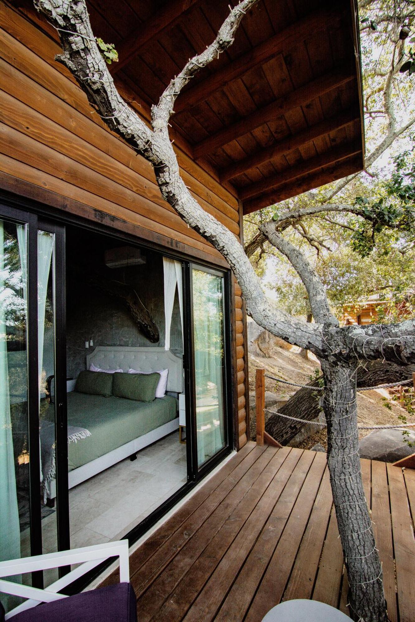 Boskenvid Hotel Boutique, Skypool Valle de Guadalupe Ngoại thất bức ảnh