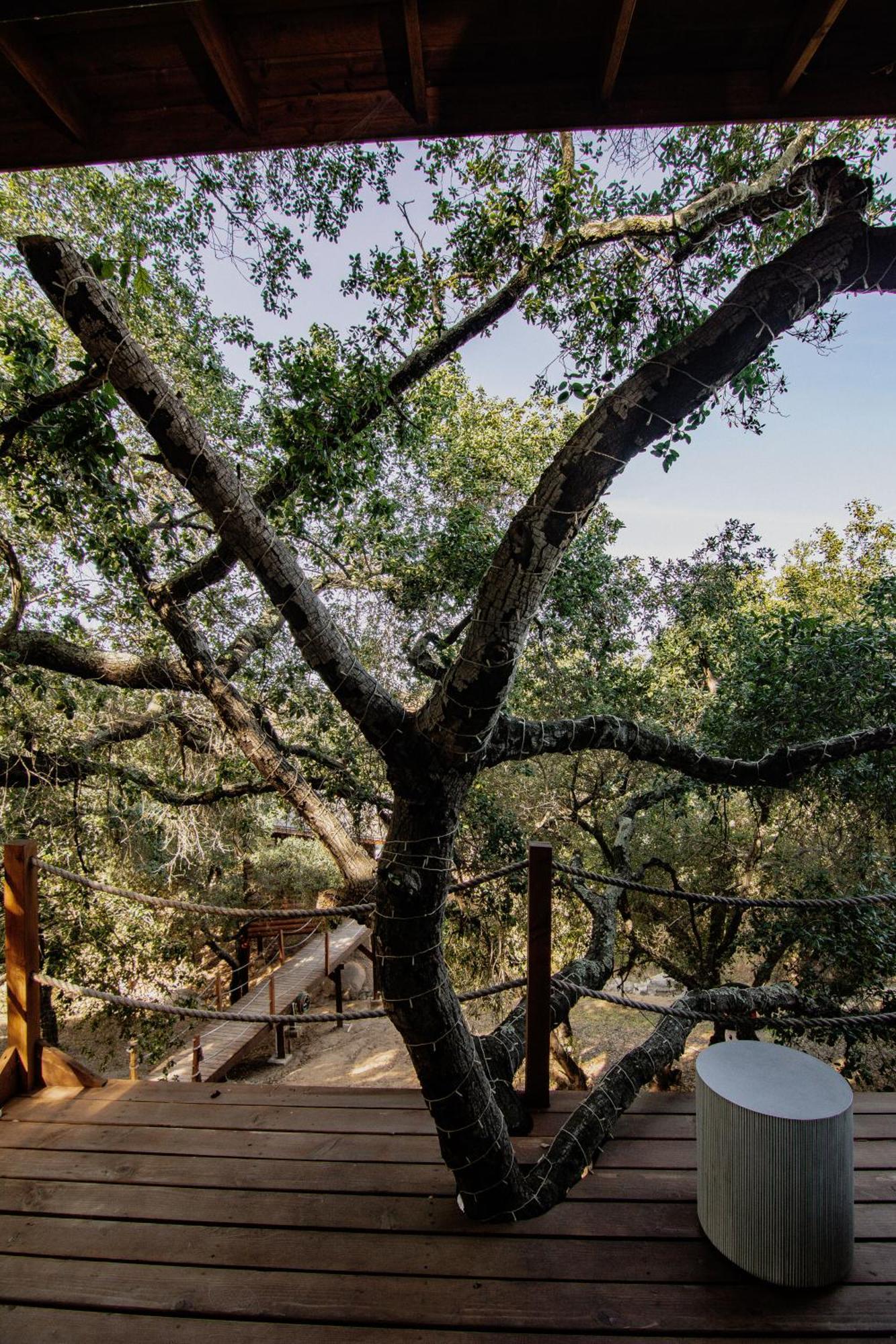 Boskenvid Hotel Boutique, Skypool Valle de Guadalupe Ngoại thất bức ảnh